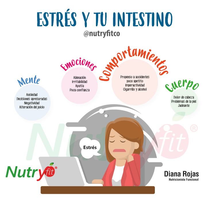 Tu intestino y el estrés. Nutricionista Diana Rojas. Nutrición funcional.